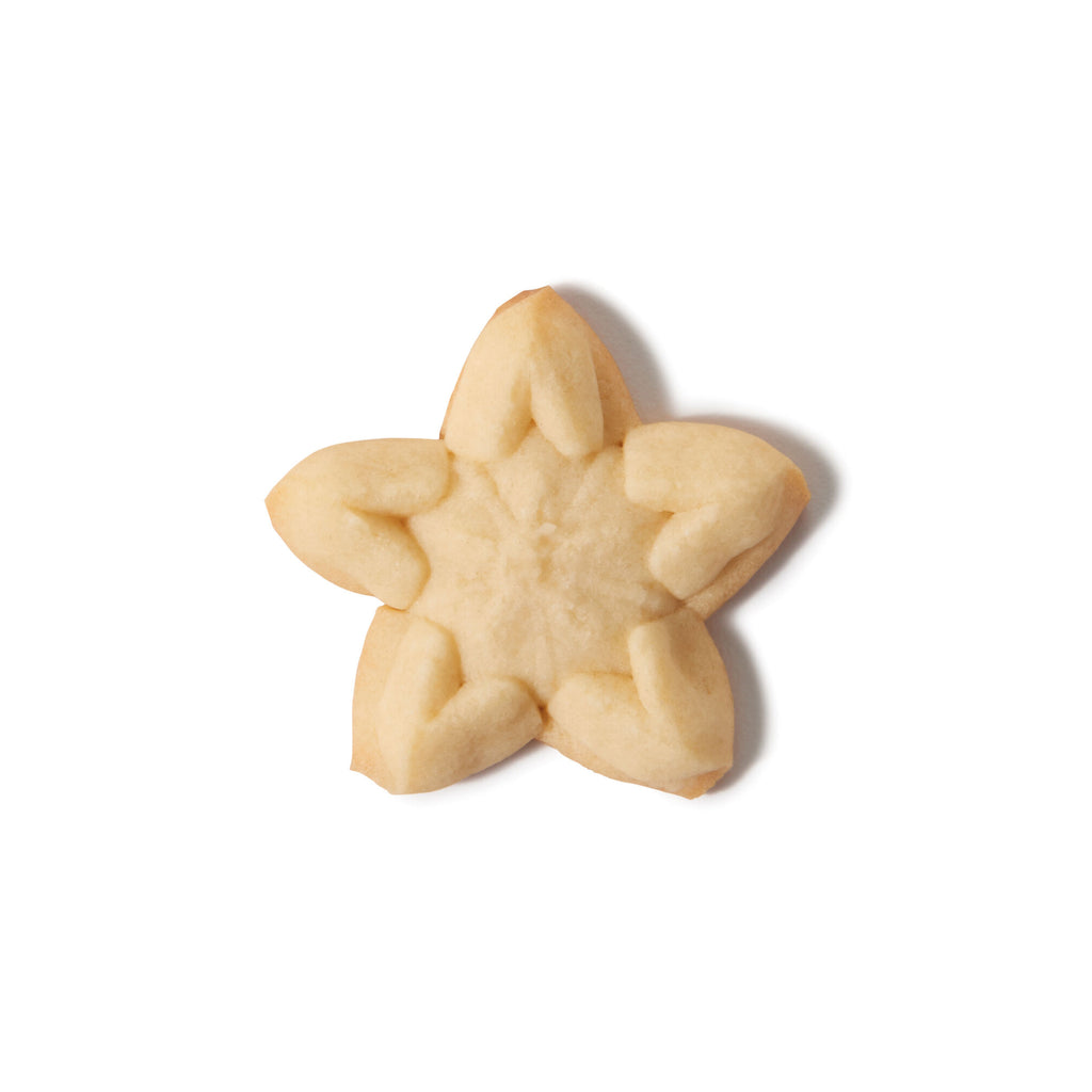 christmas-cookie-press-disk-set-o6 11177800_6_-star.jpg
