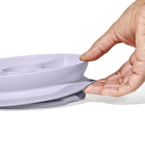 stick-and-stay-suction-divided-plate-p8 1134515a-7af7-4d77-8ad1-4534fbb13d49.jpg