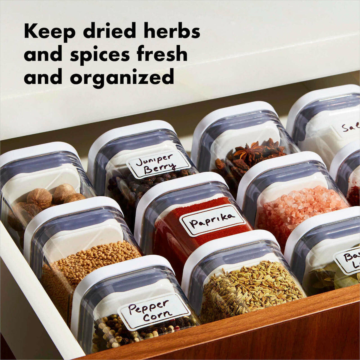 pop-4-piece-mini-container-set-i8 4_pieceaplusartboard_1-100_1_1_.jpg