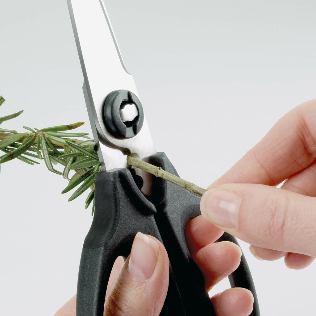 kitchen-and-herb-scissors-j8 gg_1072121_3_1_.jpg