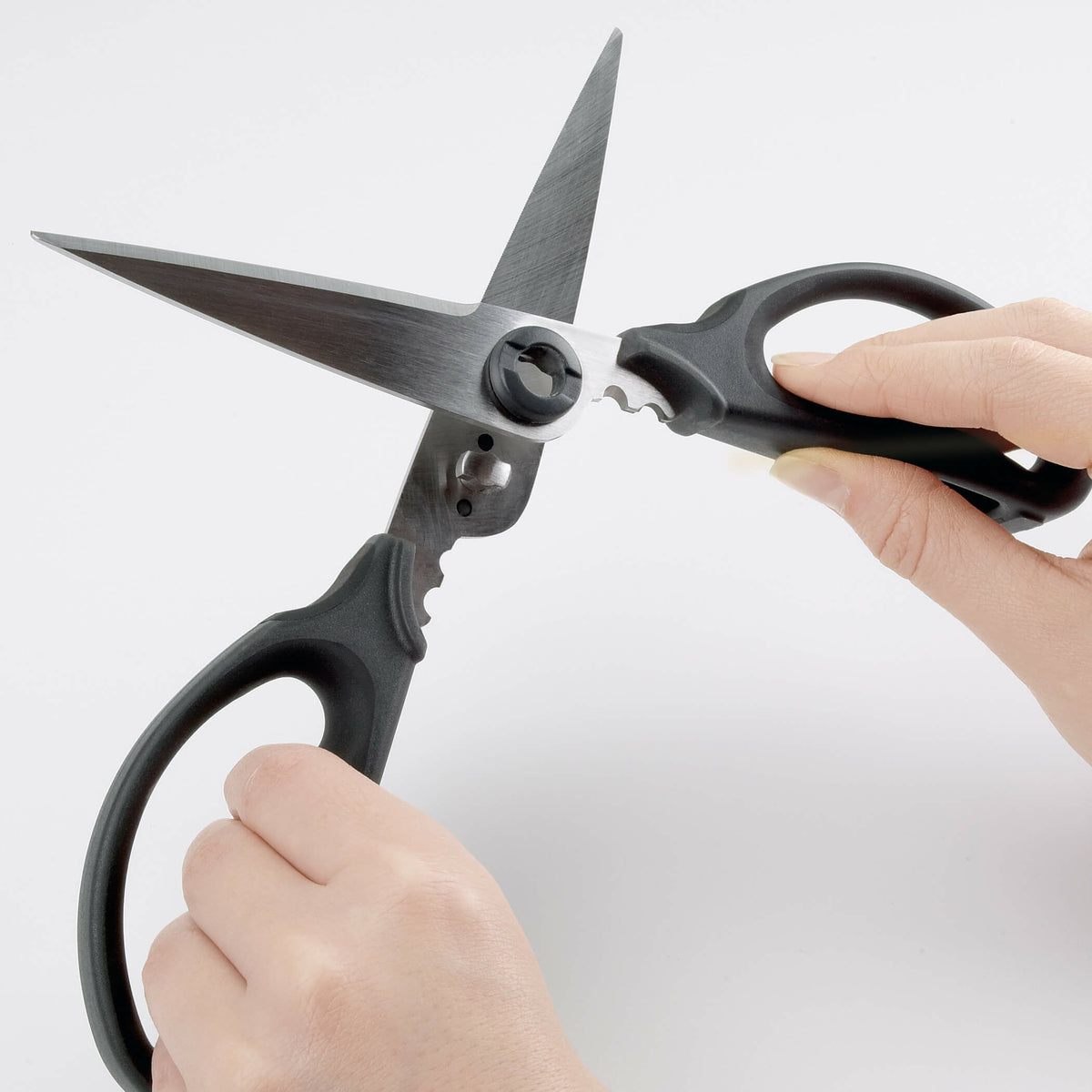 kitchen-and-herb-scissors-j8 gg_1072121_4_1_.jpg