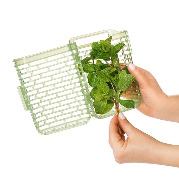 greensaver-herb-keeper-small-w9 gg_11212200_4.jpg