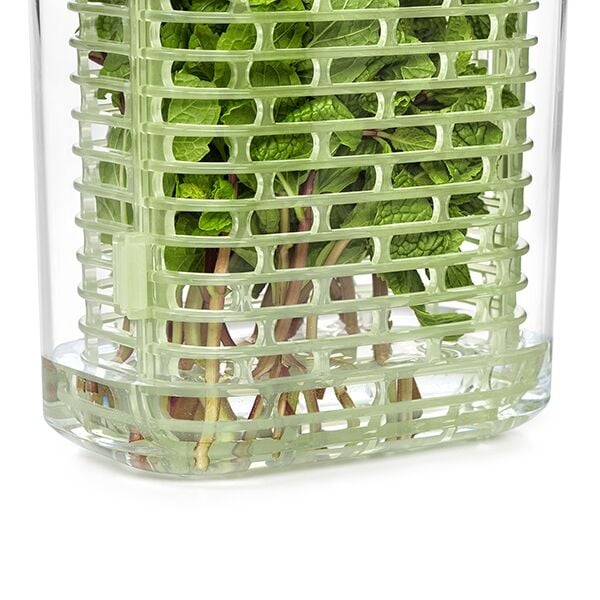 greensaver-herb-keeper-small-w9 gg_11212200_7.jpg