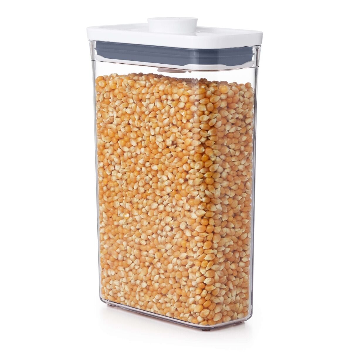 pop-container-slim-rectangle-medium-1-9-qt-u3 gg_11234800_1b_1_.jpg