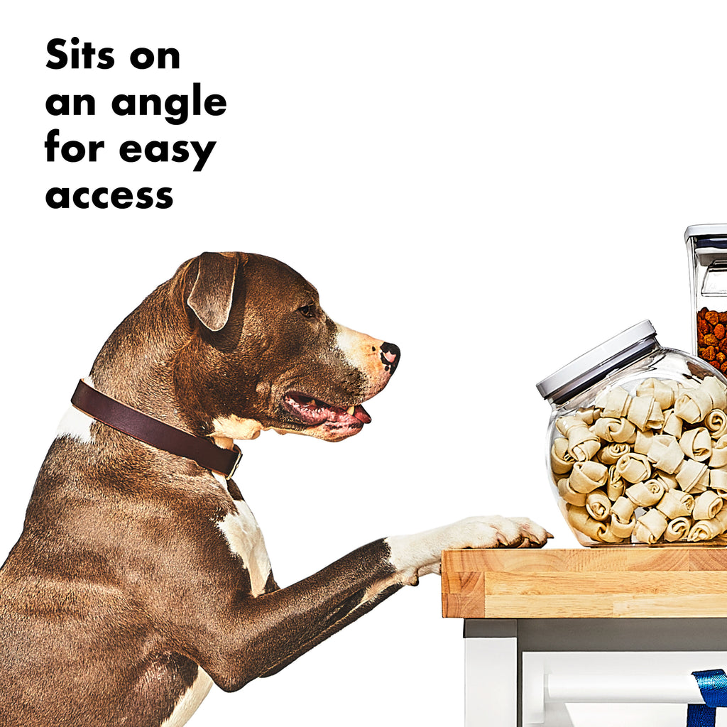 oxo-good-grips-pet-pop-container-3-0-qt-2-8-l-g1 gg_11332400_8b.jpg