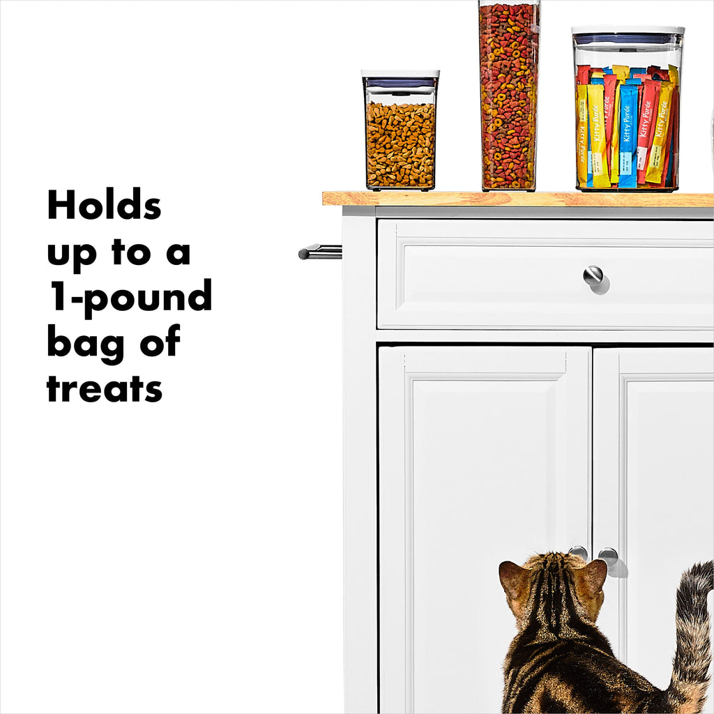 oxo-good-grips-pet-pop-container-1-1-qt-1-l-b3 gg_11332600_8.jpg