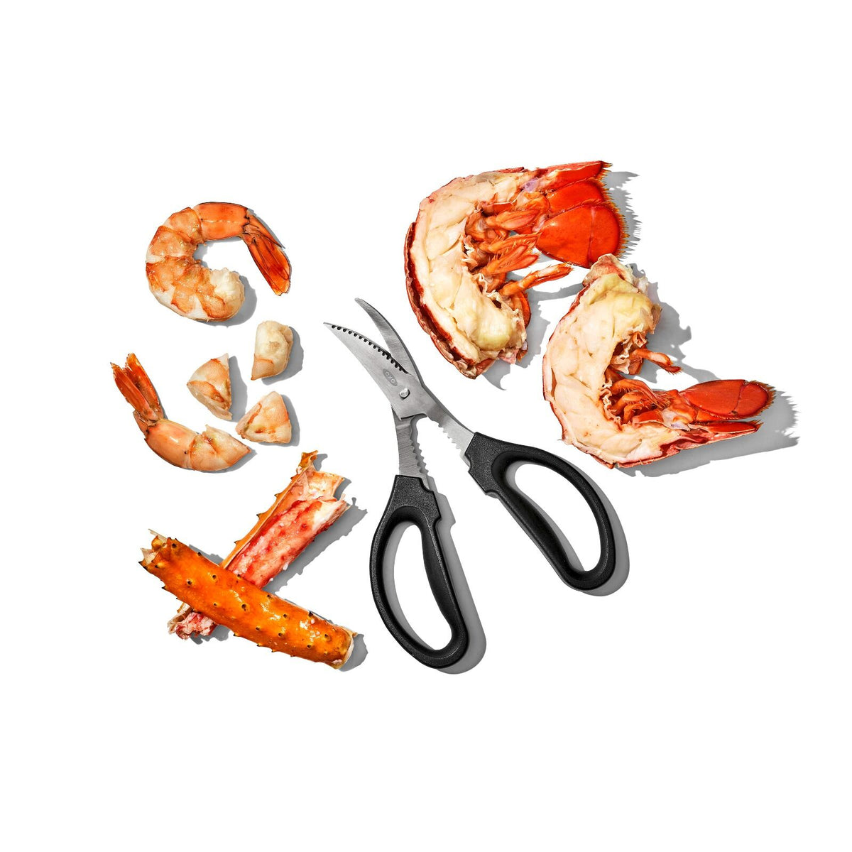 seafood-scissors-b6 gg_11350600_seafoodscissors_05.jpg