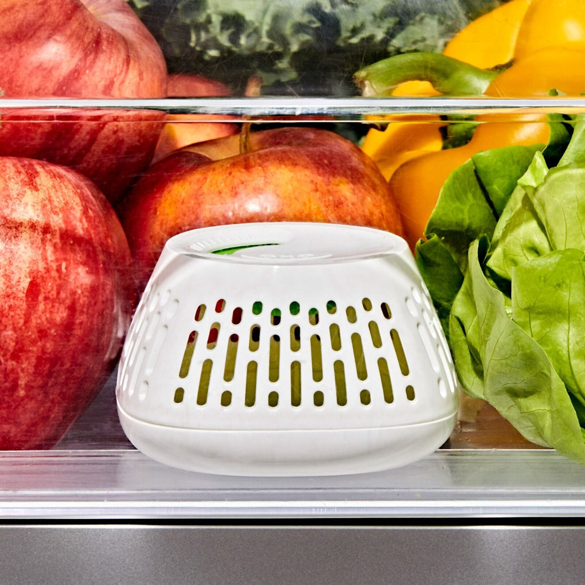 produce-saver-crisper-drawer-insert-2-pack-u3 gg_11427700_greensaver-crisper-drawer-insert_pdp_02.jpeg