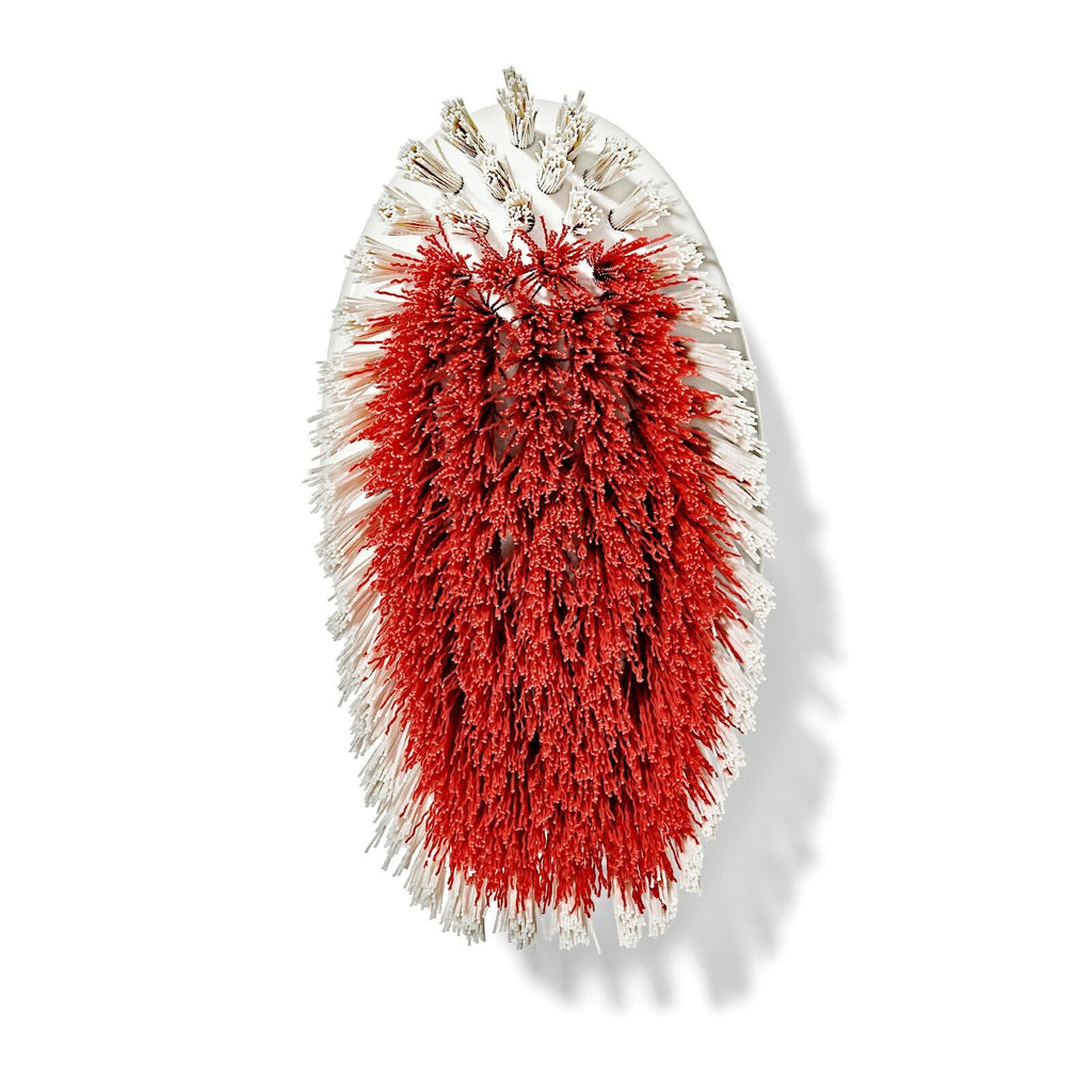all-purpose-scrub-brush-2-pack-c7 gg_12426000_scrub-brush-2-pack_pdp_07.jpeg
