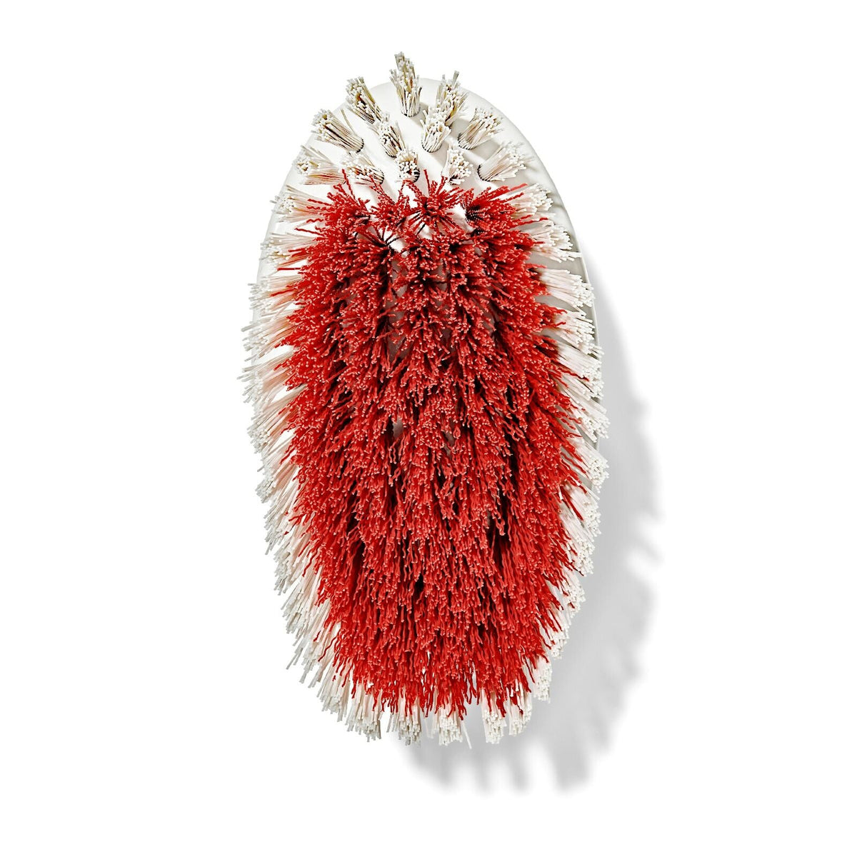 all-purpose-scrub-brush-2-pack-c7 gg_12426000_scrub-brush-2-pack_pdp_07.jpeg