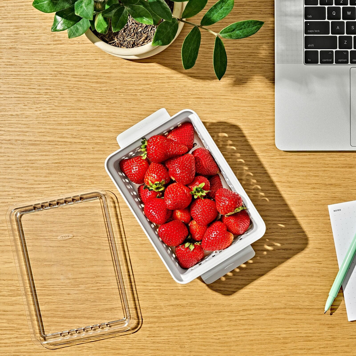 produce-saver-berry-keeper-2-piece-set-v8 gg_berry-keeper-produce-saver_pdp_01_1_.jpg