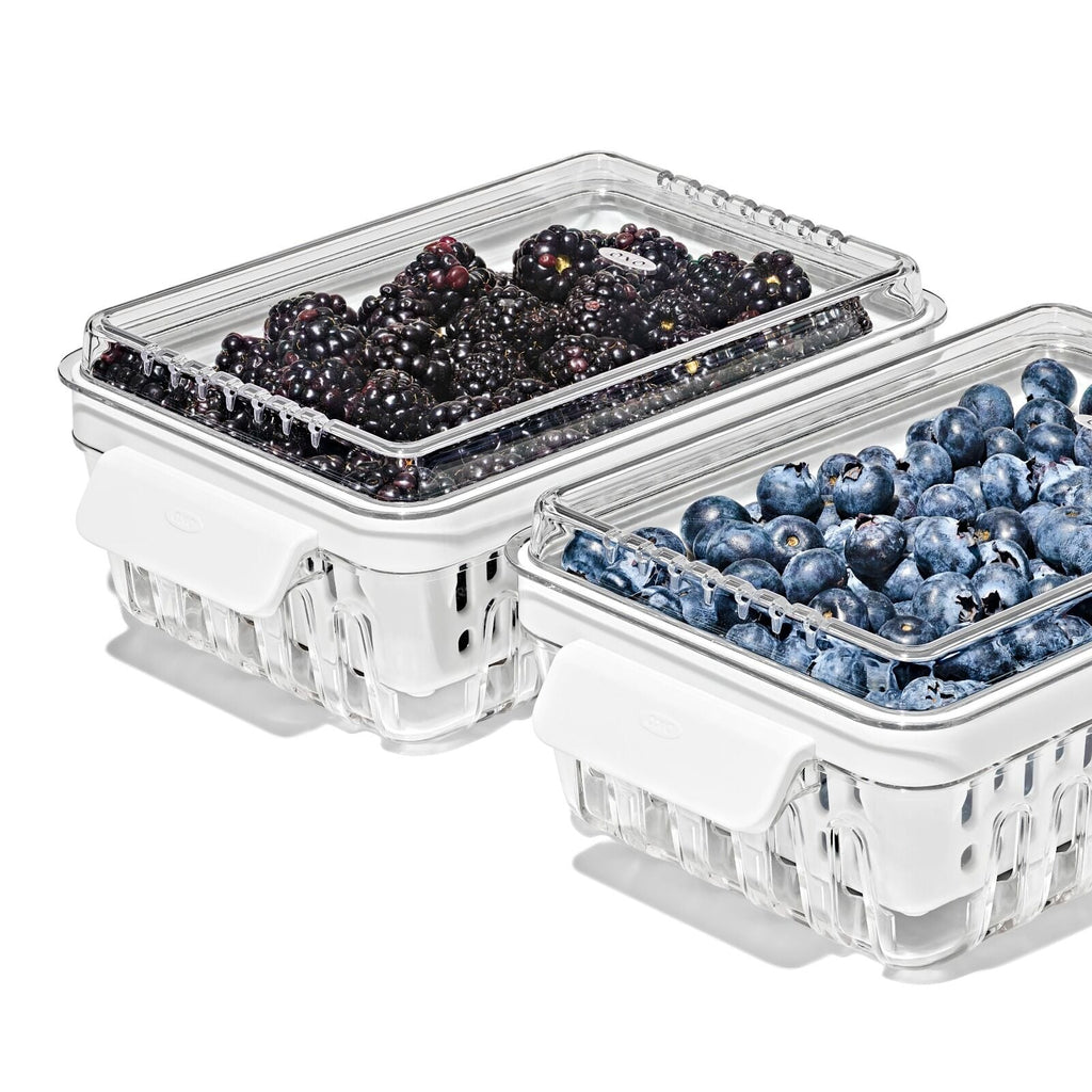 produce-saver-berry-keeper-2-piece-set-v8 gg_berry-keeper-produce-saver_pdp_03_1_.jpg