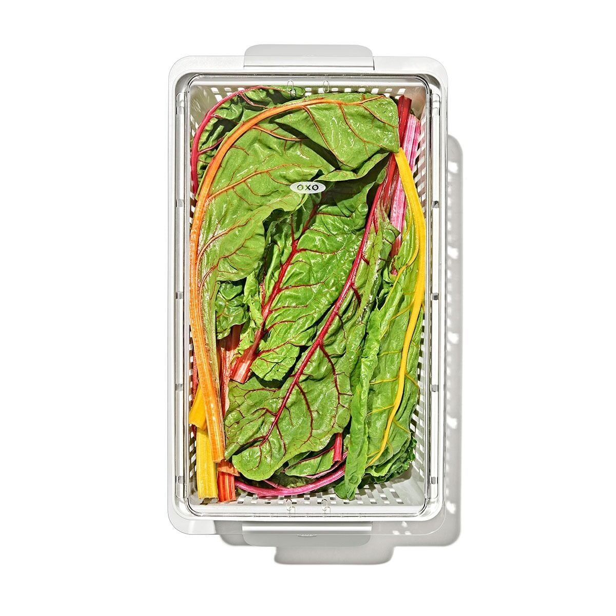 produce-saver-large-bin-t4 gg_sw_produce-saver-large_10.jpg