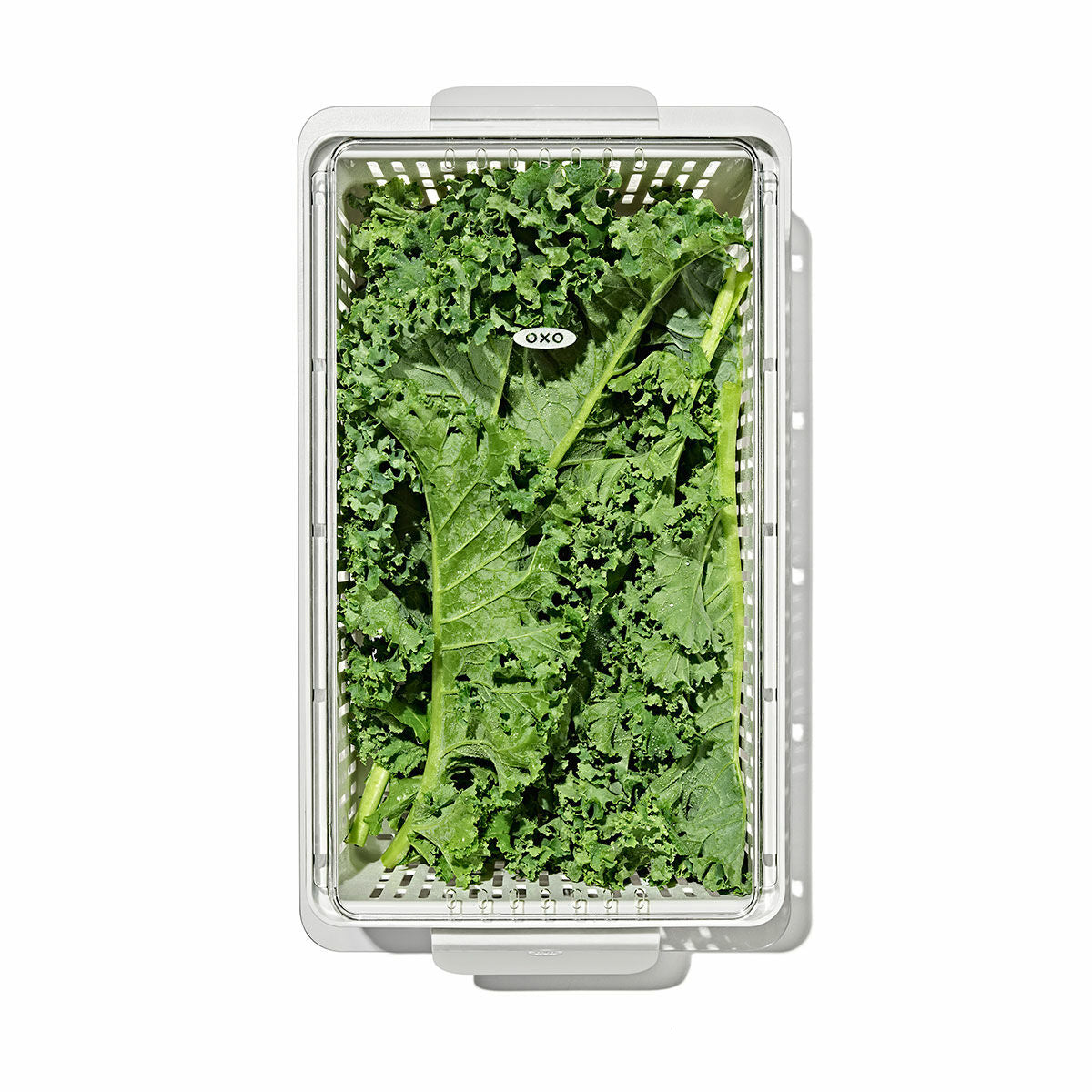 produce-saver-medium-bin-p4 gg_sw_produce-saver-medium_05.jpg