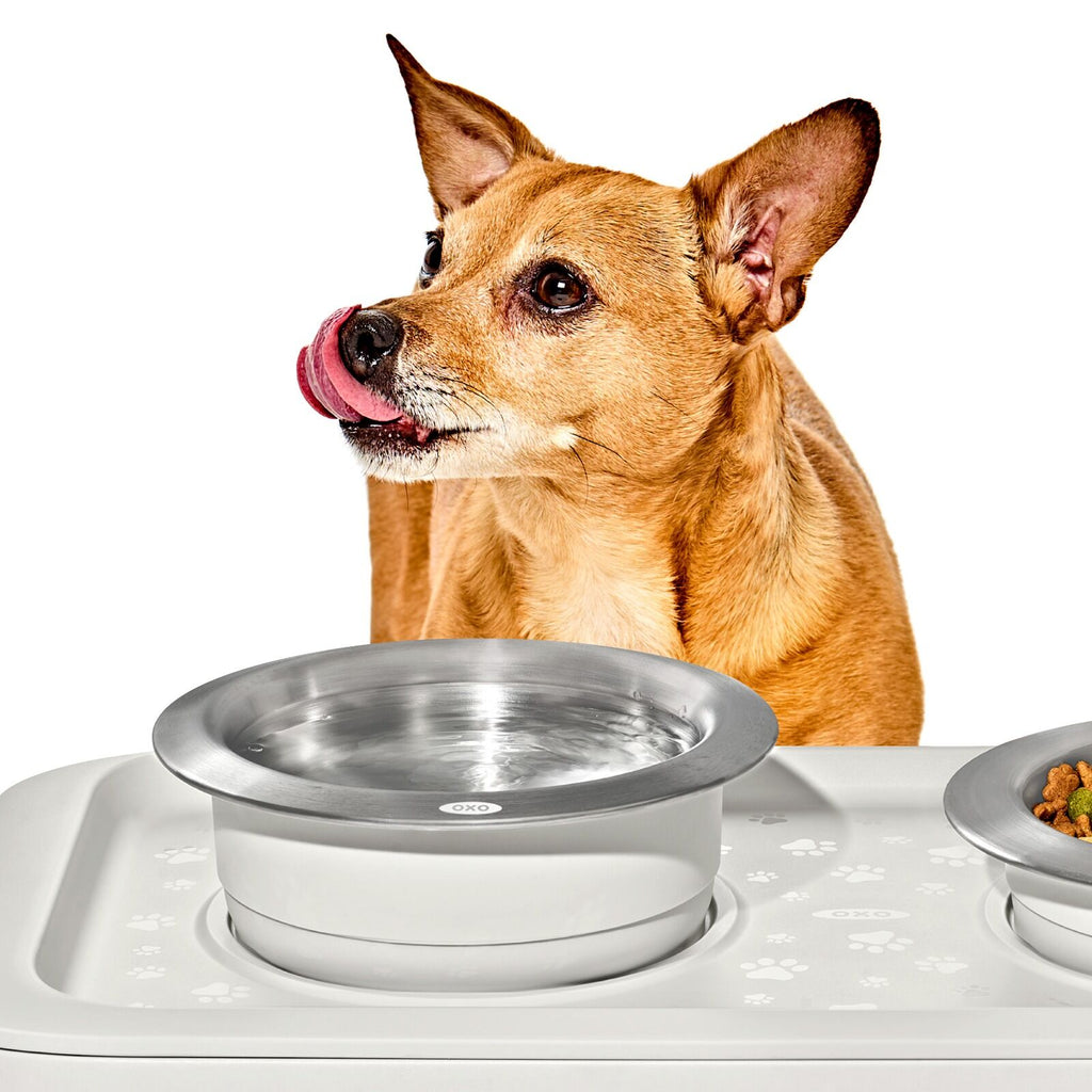 oxo-pet-nonslip-bowl-medium-2-cups-480-ml-r2 pet_7101900_nonslip-medium-bowl_pdp_02.jpeg