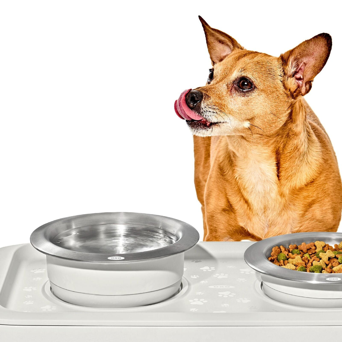 oxo-pet-nonslip-bowl-large-4-cups-950-ml-d3 pet_7102000_nonslip-large-bowl_pdp_02.jpeg