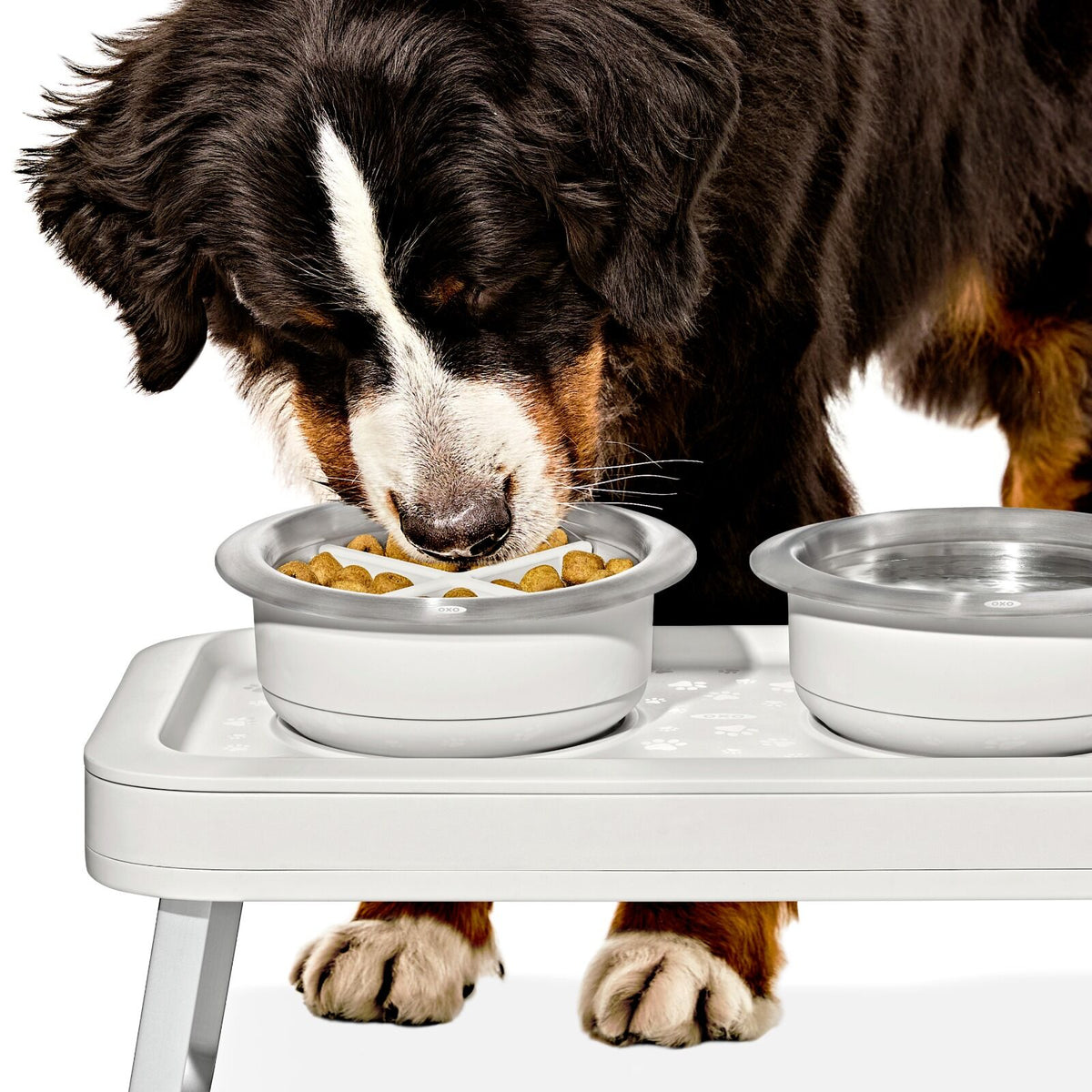 oxo-pet-easy-clean-slow-feeder-medium-2-cups-489-ml-o8 pet_slow-feeder-medium-large_pdp_02_1.jpeg