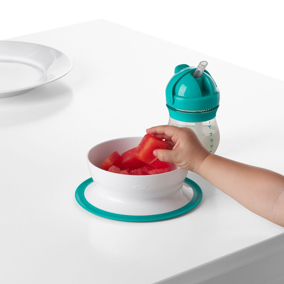 stick-and-stay-suction-bowl-e4 tot_61120600_4i.jpg