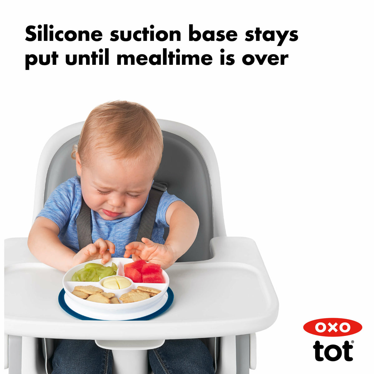 stick-and-stay-suction-divided-plate-k4 tot_61121100_8d_1_.jpg